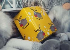 The LittleGreen Wrapping Company Reindeer & Robins Recyclable Wrapping Paper & Tags