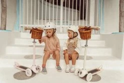 Banwood Scooter - Pink Bikes & Trikes