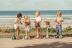 Banwood Scooter - Pink Bikes & Trikes