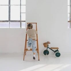 Banwood Trike - Green Bikes & Trikes 20 Banwood Trike - Green Bikes & Trikes