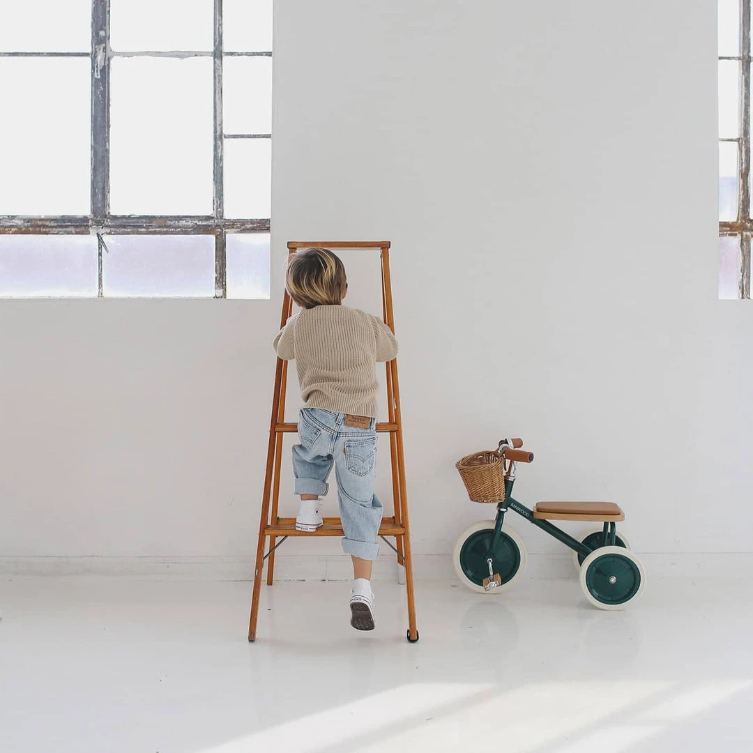 Banwood Trike - Green Bikes & Trikes 9 Banwood Trike - Green Bikes & Trikes