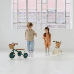 Banwood Trike - Green Bikes & Trikes 21 Banwood Trike - Green Bikes & Trikes