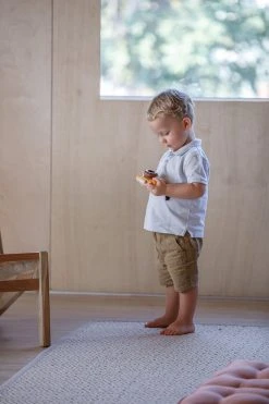 Sale Plan Toys - My First Camera Orchard Series