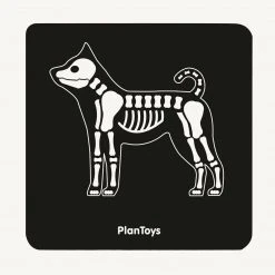 Plan Toys - Vet Set
