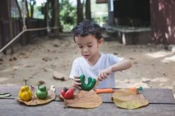 Plan Toys - Wonky Fruit & Vegetables Pretend Play